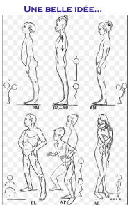 Chaînes musculaires et articulaires GDS