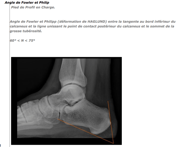 Capture d’écran 2013-02-23 à 19.09.38