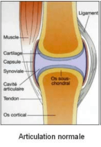 Capture d’écran 2013-03-03 à 10.58.46