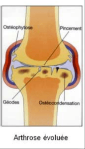 Capture d’écran 2013-03-03 à 10.59.35