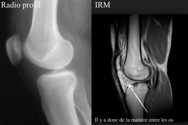 Capture d’écran 2013-03-03 à 11.25.59