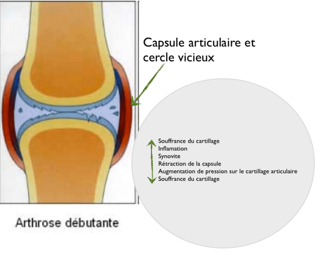 Capture d’écran 2013-03-03 à 14.23.09
