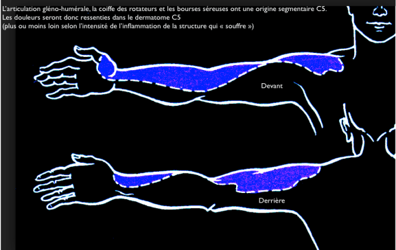 Capture d’écran 2013-03-19 à 07.10.18