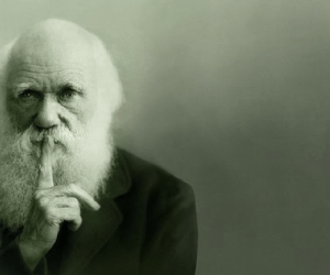 Capture d’écran 2013-04-22 à 09.18.29