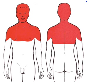 Capture d’écran 2013-01-17 à 09.52.05