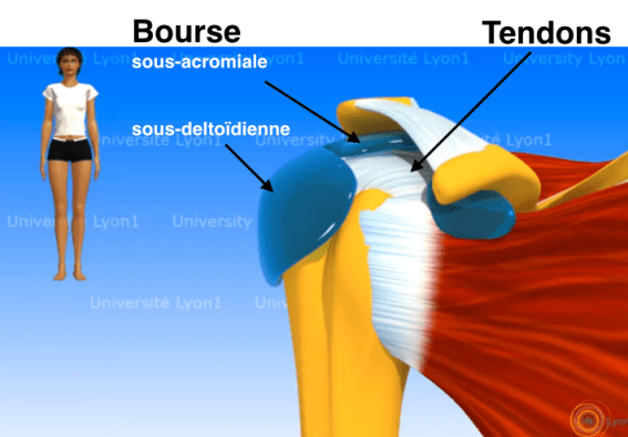 Capture d’écran 2013-11-30 à 23.57.47