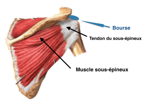 Capture d’écran 2013-12-01 à 11.33.54