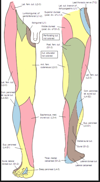 Capture d’écran 2013-07-15 à 18.46.22
