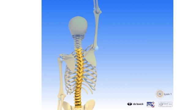 3. Des nouvelles de l’épaule.005