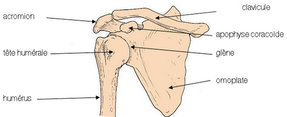 Capture d’écran 2015-03-27 à 15.57.46