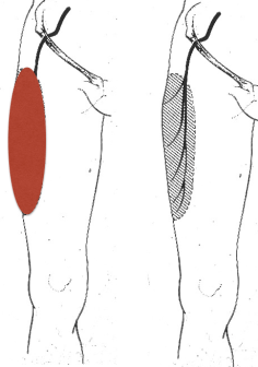 Capture d’écran 2015-04-01 à 08.28.02